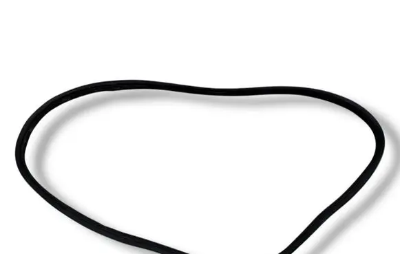 Toyota Aygo X Rear door rubber seal (on body) 18339