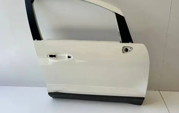 Ford Ecosport Front door