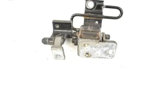 Rear door lower hinge