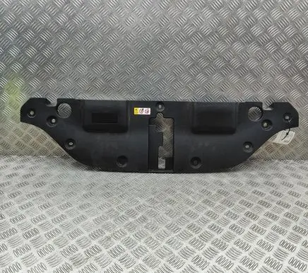 Lexus NX Radiator trim 1668125060