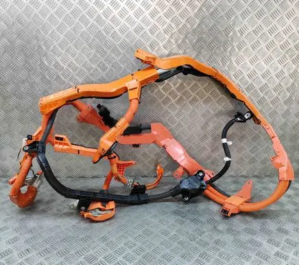 Lexus RX 450H Other wiring loom 821H148140