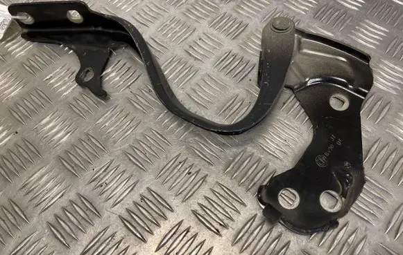 Fiat 500 Engine bonnet/hood hinges