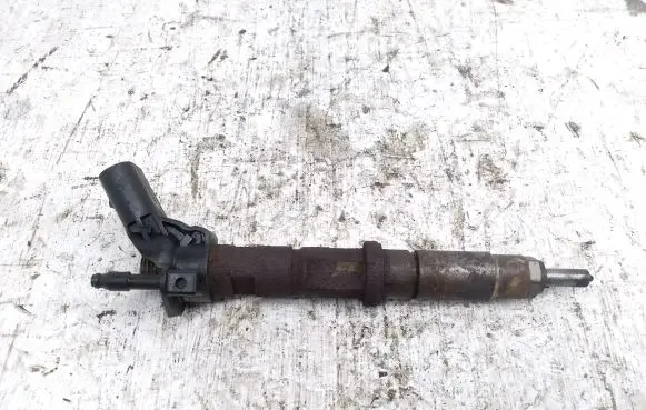 Volkswagen Crafter Fuel injector 076130277 0445115029