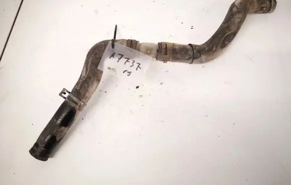 Ford Galaxy Engine coolant pipe/hose
