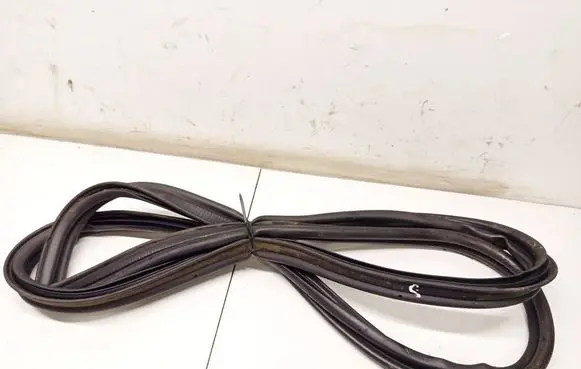 Dacia Sandero Trunk rubber seal (body) 