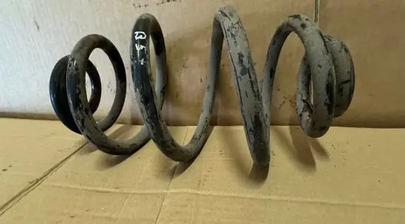 Volkswagen PASSAT B5 Rear coil spring