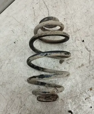 Rear coil spring