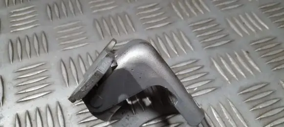 Renault Megane III Rear door lower hinge 804000016PF A073550