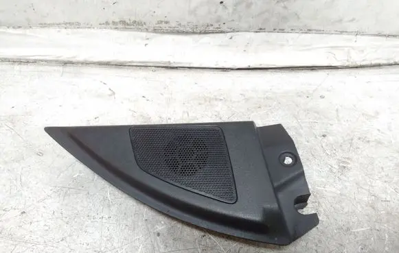 Front door high frequency speaker