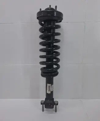 Ford F150 Front shock absorber with coil spring JL3418045