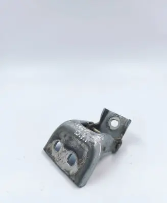 Renault Kangoo II Front door lower hinge 