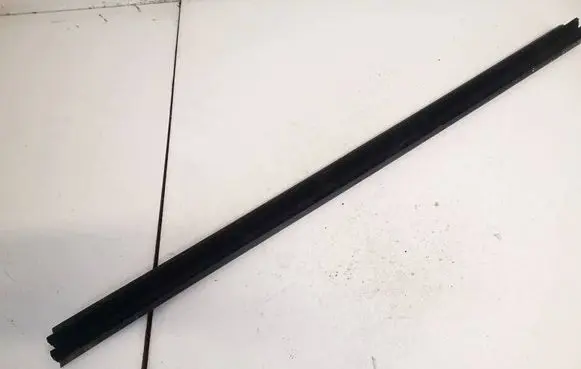 Rear door glass trim molding