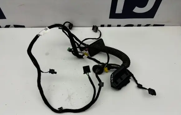 Mercedes-Benz S AMG W222 Front door wiring loom A2224402605 A2229980801