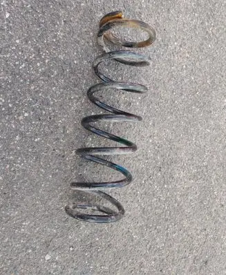 Rear coil spring