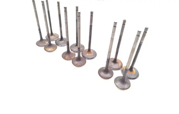 Toyota RAV 4 (XA40) Valve 12PCS ENGINE2ARFE