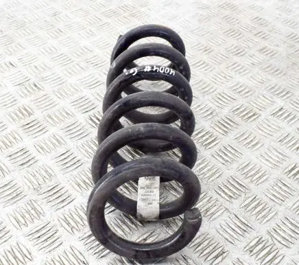 Ford Mustang Mach-E Rear coil spring LJ9C5560BNE
