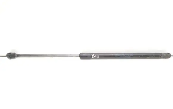 Tailgate/trunk strut/damper