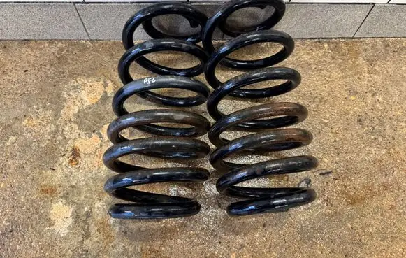 Rear coil spring