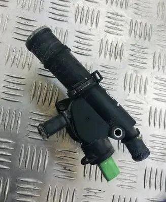 Thermostat/thermostat housing