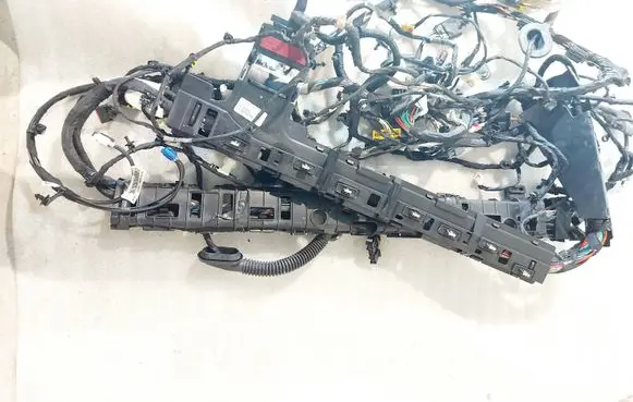 Chrysler Pacifica Left interior wiring harness 68400951AC 6059930 KR665913