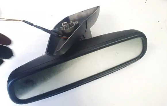 Ford Focus Rear view mirror (interior) e11015624