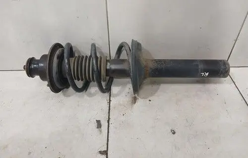 Porsche Cayman 987 Rear shock absorber with coil spring 98733305109