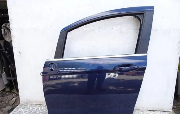Ford B-MAX Front door asdf