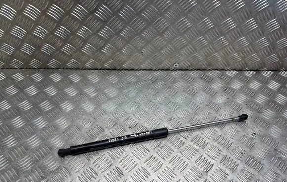 Tailgate/trunk strut/damper