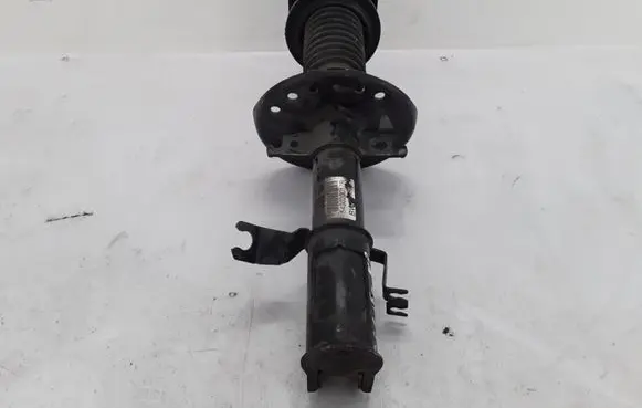 Renault Scenic III - Grand scenic III Front shock absorber/damper 543020017R