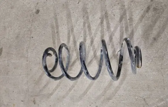 Rear coil spring