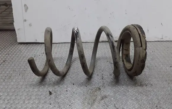 Rear coil spring