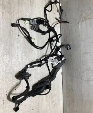 Front door wiring loom