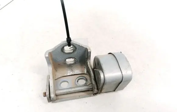 Renault Megane II Rear door lower hinge
