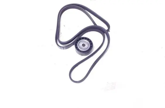 Renault Clio III Alternator belt 8200830192