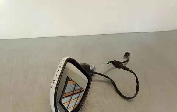 Volkswagen PASSAT B8 Front door electric wing mirror 0389170
