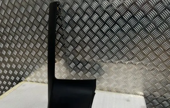 Tesla Model S Panel trim 100231014E