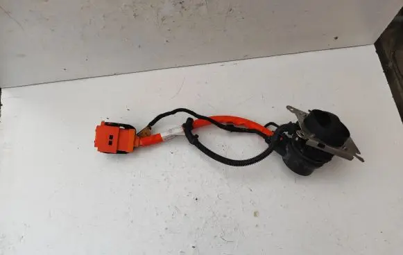 Porsche Cayenne (92A) Other wiring loom 7P5971676N