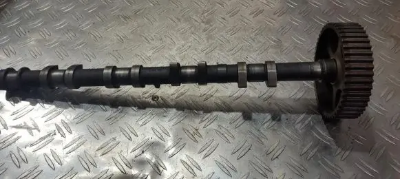 Rover 414 - 416 - 420 Camshaft lgc10201