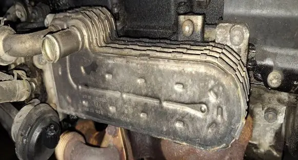 Chrysler Sebring (JS) EGR valve cooler 03G131513K