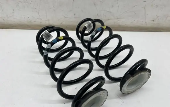 Opel Grandland X Rear coil spring 9861002780