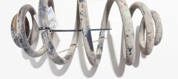 Volkswagen PASSAT B5 Rear coil spring