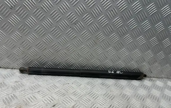 Tailgate/trunk strut/damper