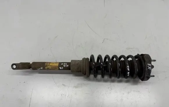 Mercedes-Benz CLS C219 Front shock absorber/damper A2193200713