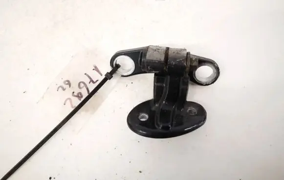 Rear door lower hinge