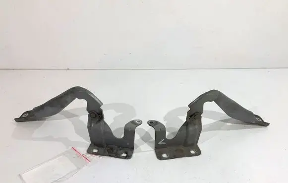 Renault Koleos I Engine bonnet/hood hinges 