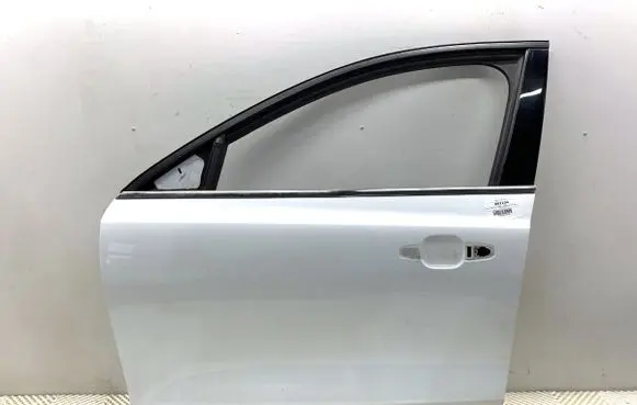 Ford Focus Front door 