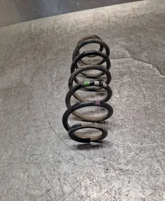 Rear coil spring