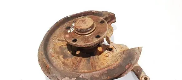 Skoda Octavia Mk2 (1Z) Rear wheel hub didzioji