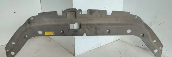 Engine bonnet/hood lock trim molding