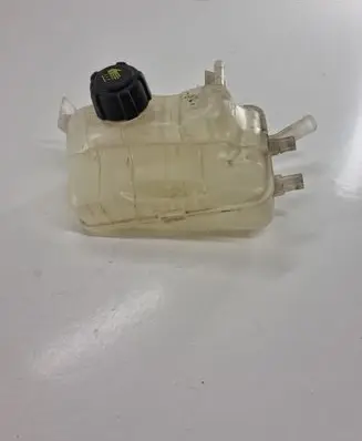 Renault Scenic III - Grand scenic III Coolant expansion tank/reservoir 217100005R